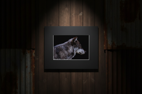 Genna Card Lone Gaze Wolf Print