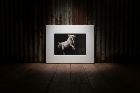 Genna Card Photography Moonrise Leap White Horse in Flight