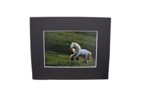 Genna Card Photography Highland Sprint Horse in Motion