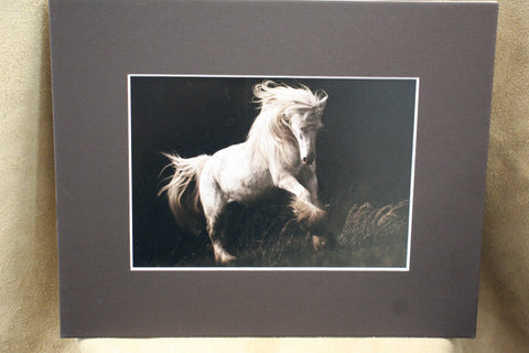 Genna Card Wild Ivory