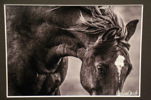 Genna Card Windswept Strength
