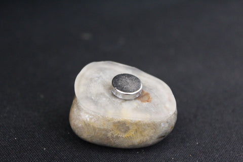 Petoskey Stone Magnet