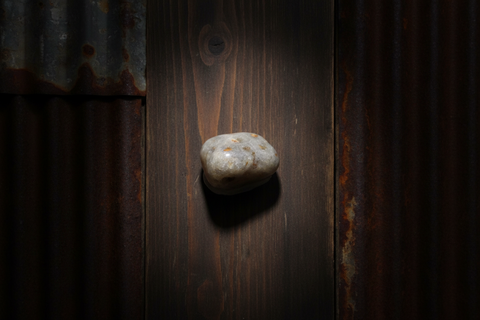 Petoskey Stone Magnet