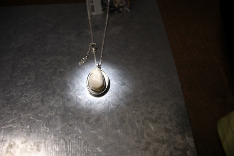 Petoskey Stone Silver Necklace