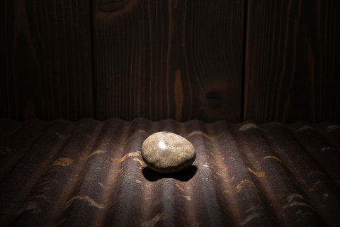 Petoskey Stone Magnet