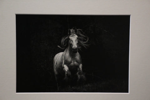 Genna Card Photography Midnight Sprint