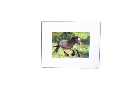 Genna Card Summer Gallop Highland photo