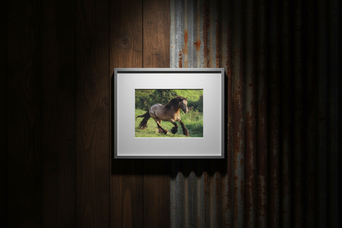 Genna Card Summer Gallop Highland photo
