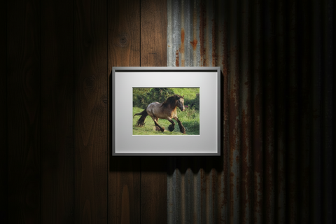 Genna Card Summer Gallop Highland photo