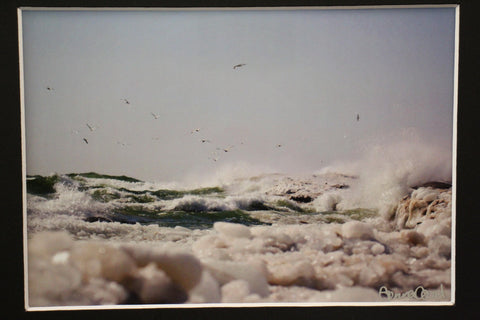 Genna Card Lake Michigan Wave Photograph
