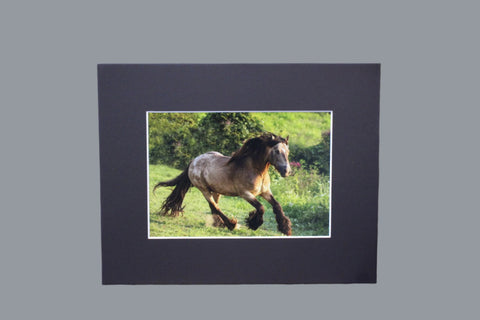 Genna Card Photography Meadow Burst Running Roan