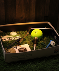 Golf-themed items including a golf ball, club, and hat in a box on grass with a wooden background.