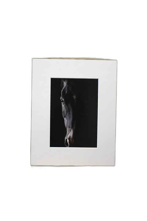 Genna Card Photography Shadow Spirit Horse in Motion