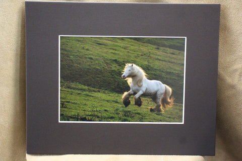 Genna Card Photography Highland Sprint Horse in Motion