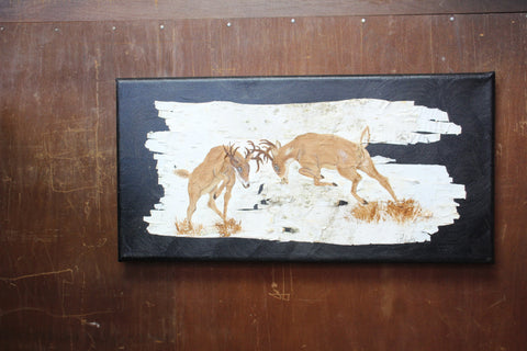 Locked in Battle Birch Bark Art by Carol Schulte