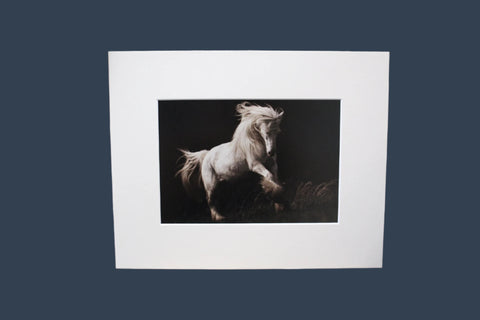 Genna Card Photography Moonrise Leap White Horse in Flight