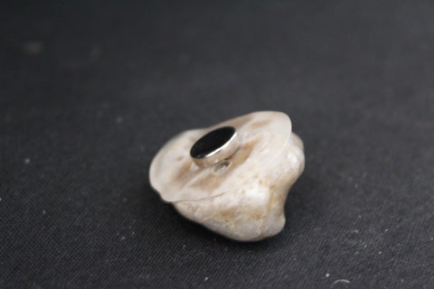 Petoskey Stone Magnet