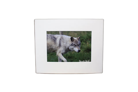 Genna Card Silent Tracker Wolf Print