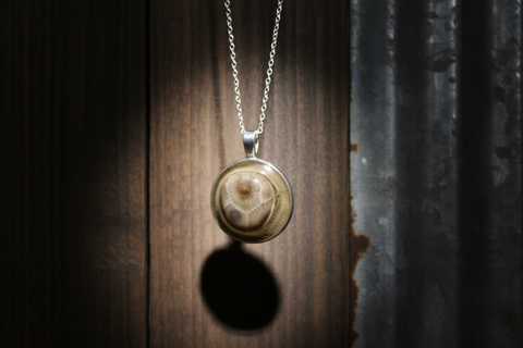 Petoskey Stone Chain Size 16" MI Beachrocks 2 Necklaces & Pendants
