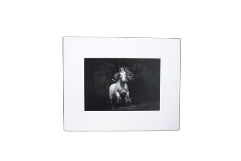 Genna Card Photography Midnight Sprint