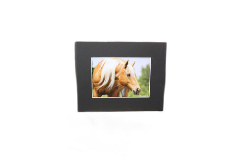 Genna Card Golden Palomino Portrait
