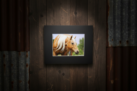 Genna Card Golden Palomino Portrait