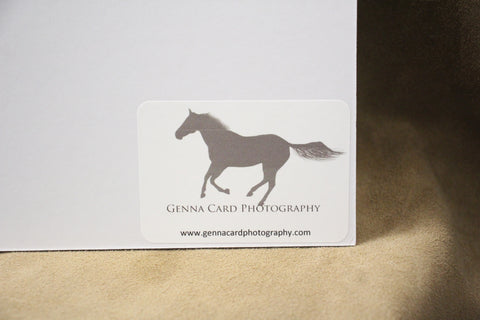 Genna Card Photography Wild Grace Horse Portrait