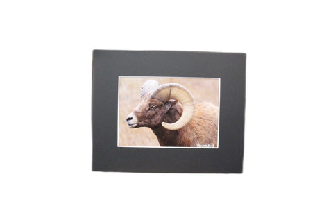 Genna Card Bighorn Majesty Wildlife Print