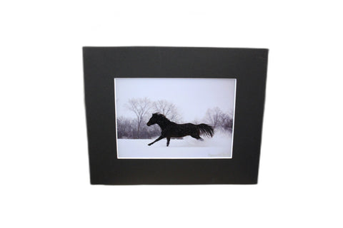 Genna Card Winter Gallop