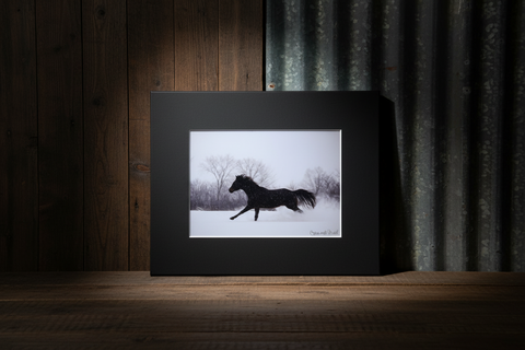 Genna Card Winter Gallop