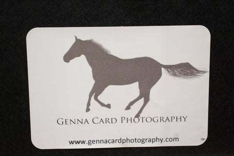 Genna Card Photography Framed White Horse Print