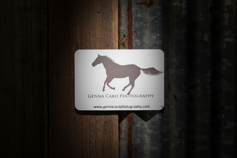 Genna Card Photography Framed White Horse Print