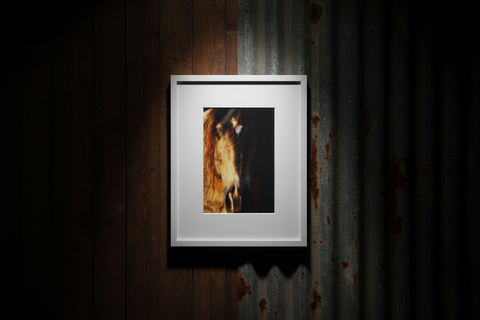 Genna Card Photography Golden Still