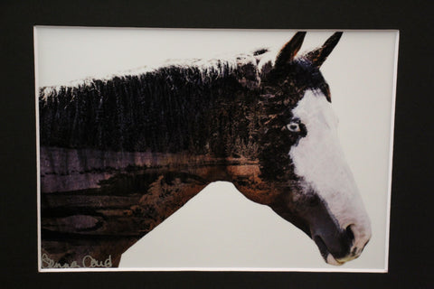 Genna Card Echo of the Pines Horse Print