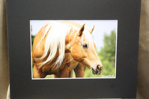 Genna Card Golden Palomino Portrait