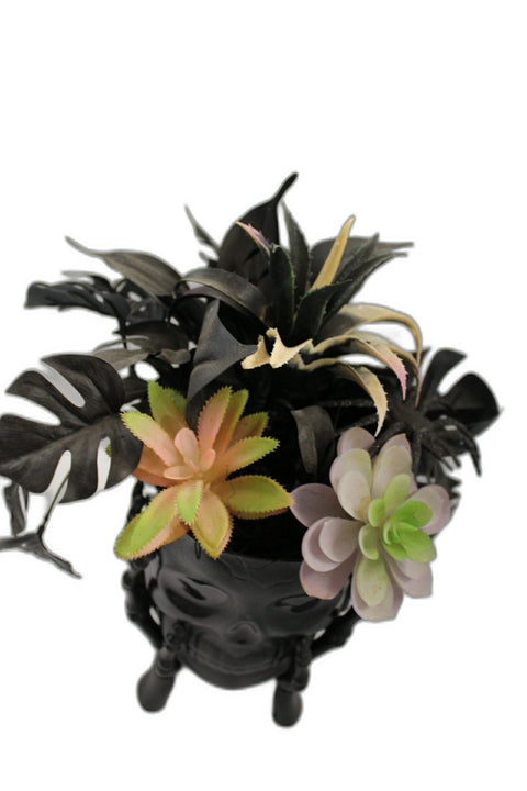 Black Skull Halloween Planter with Faux Succulents