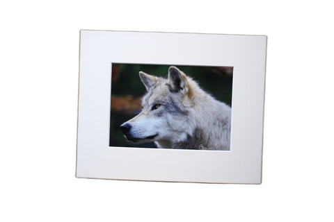 Genna Card Autumn Watch Wolf Print
