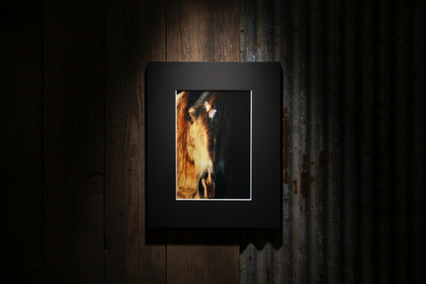 Genna Card Photography Ember Gaze Horse Close-Up