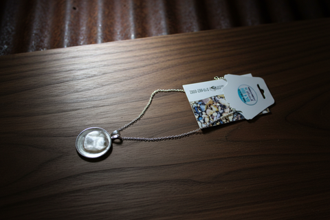 Petoskey Stone Silver Chain Necklace by MI Beachrocks 2