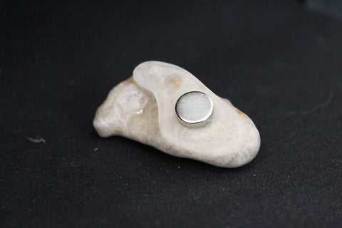 Petoskey Stone Magnet