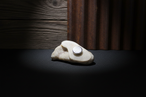 Petoskey Stone Magnet