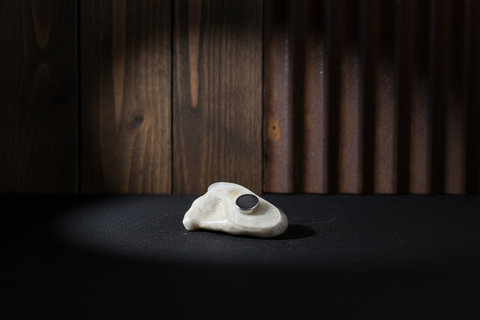 Petoskey Stone Magnet