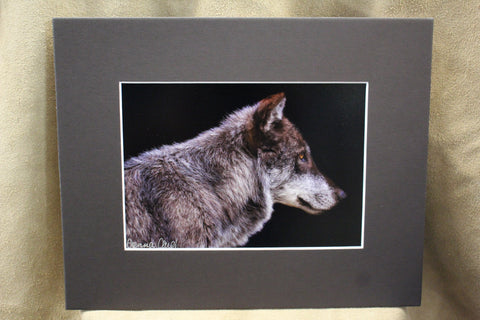 Genna Card Lone Gaze Wolf Print