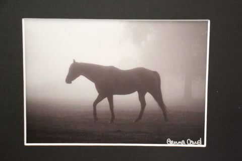 Genna Card Morning Fog Horse Print