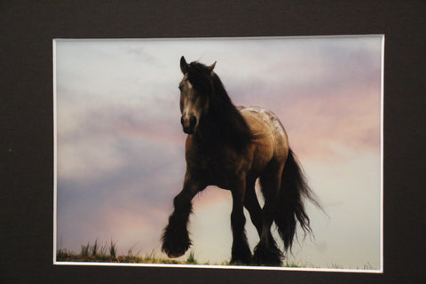Genna Card Photography Evening Watch Horse at Dusk