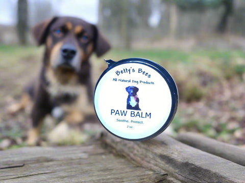 Paw Balm by Almosta Bee Farm Pet Care