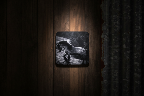 Black and White Horse Photo Cork Backed Coaster by Genna Card