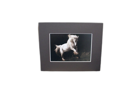 Genna Card Wild Ivory