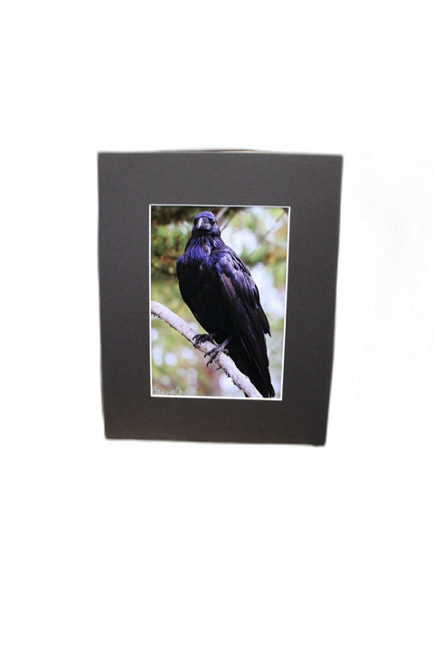 Genna Card Watchful Raven Print