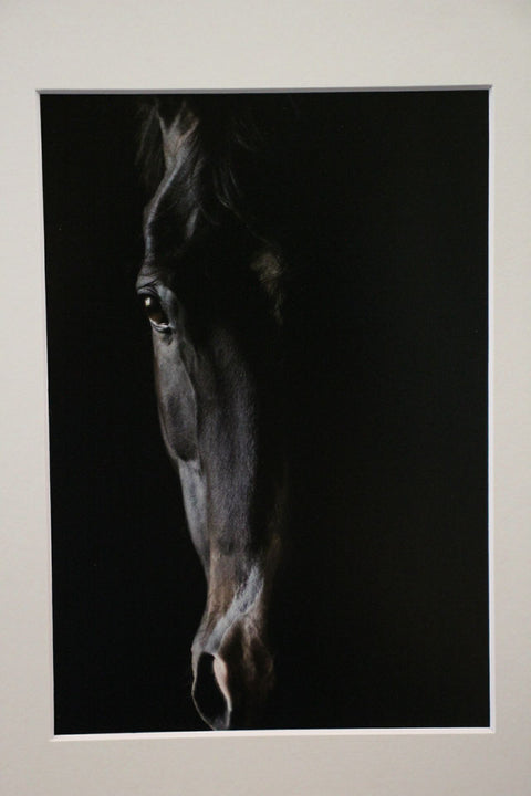 Genna Card Photography Shadow Spirit Horse in Motion